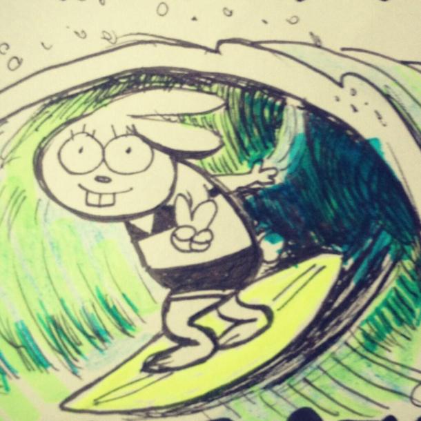 surfing sarah steenland